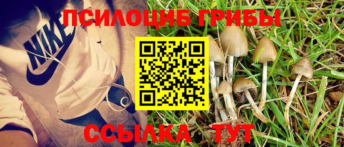 Бирск  Галлюциногенные грибы Psilocybine cubensis  наркотики  Вход с VPN 